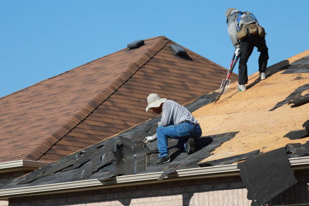 Best Asphalt Shingle Roofing  in Armada, MI
