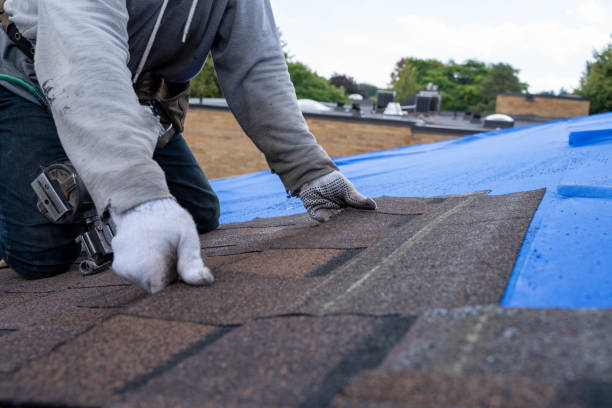 Best Roof Restoration  in Armada, MI